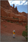 Pocket Quads Utah National Parks Edition